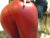 laimg-00029